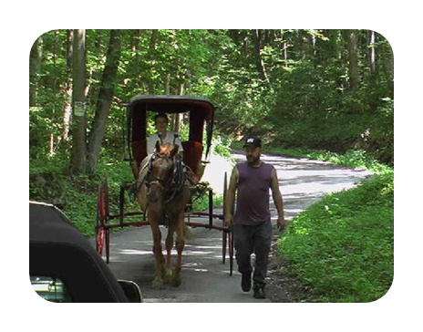 Buggy Ride